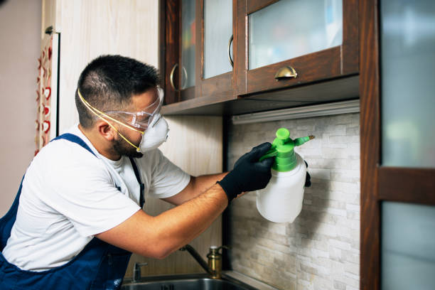 Best Bed Bug Extermination  in Antlers, OK