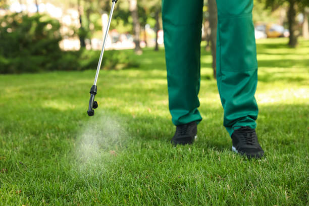 Best Affordable Pest Control Services  in Antlers, OK