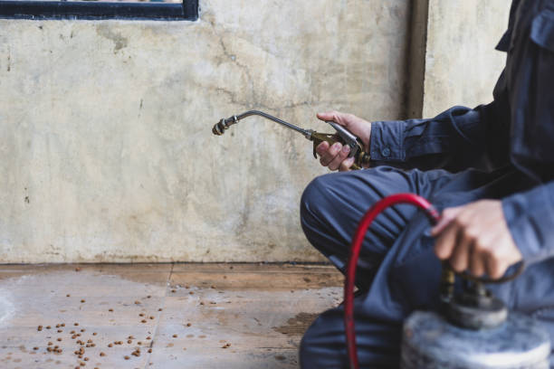 Best Mosquito Control Services  in Antlers, OK